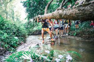 BIB: 
                            <button type="button" onclick="openModal(25466176)" class="btn btn-primary btn-sm float-right btn-popup" data-toggle="modal" data-target=".modal-high-quality">
                        <i class="fas fa-shopping-cart"></i> Add to Cart
                    </button>
                                            <button type="button" onclick="isThisMe(25466176, true)" class="btn btn-success btn-sm float-right btn-popup btn-isme hidden" data-toggle="tooltip" data-placement="bottom" title="นี่คือรูปของคุณใช่ไหม คลิกที่นี่เพื่อเอาเข้าอัลบั้ม">
                        <i class="fas fa-plus"></i> Add to album
                    </button>
                    <button type="button" onclick="isThisMe(25466176, false)" class="btn btn-warning btn-sm float-right btn-popup btn-isnotme hidden">
                        <i class="fas fa-ban"></i> Remove from album
                    </button>